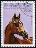 Colnect-3727-002-Brown-Arabian-Horse-Equus-ferus-caballus.jpg