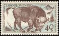 Colnect-447-266-European-Bison-Bison-bonasus.jpg