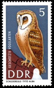 Colnect-1974-954-Common-Barn-Owl-Tyto-alba.jpg