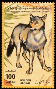 Colnect-4735-003-Golden-Jackal-Canis-aureus.jpg