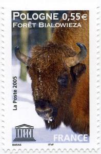 Colnect-768-896-European-Bison-Bison-bonasus.jpg