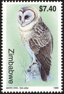 Colnect-860-637-Western-Barn-Owl%C2%A0Tyto-alba.jpg