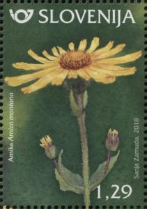 Colnect-5122-715-Mountain-arnica-Arnica-montana.jpg