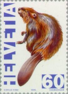 Colnect-141-190-European-Beaver-Castor-fiber.jpg