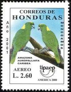 Colnect-4260-461-Yellow-naped-Amazon-Amazona-auropalliata-ssp-caribea.jpg