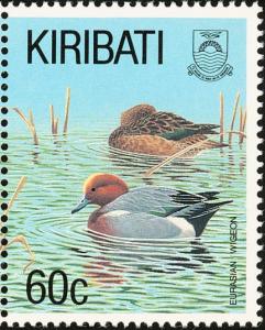 Colnect-1301-216-Eurasian-Wigeon-Anas-penelope.jpg