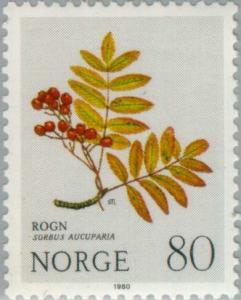 Colnect-161-993-Rowan-Sorbus-aucuparia.jpg