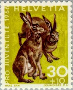 Colnect-140-306-European-Hare-Lepus-europaeus.jpg