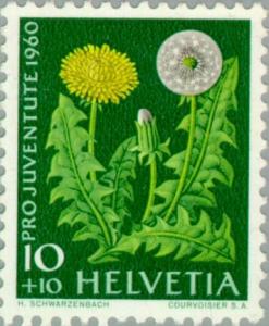 Colnect-140-153-Dandelion-Taraxacum-officinale.jpg