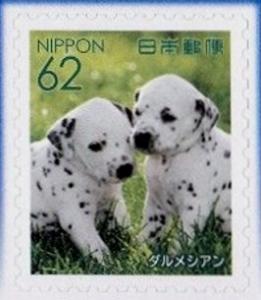 Colnect-4415-129-Dalmatian-Canis-lupus-familiaris.jpg