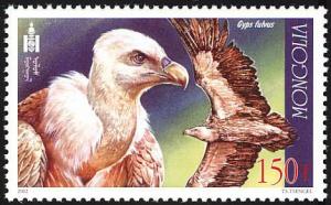 Colnect-1290-154-Griffon-Vulture-Gyps-fulvus.jpg