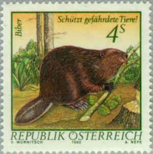 Colnect-137-156-Eurasian-Beaver-Castor-fiber.jpg