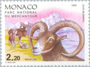 Colnect-149-140-Mouflon-Ovis-ammon-musimon.jpg