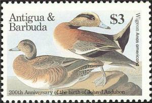 Colnect-1764-017-American-Wigeon-Anas-americana.jpg