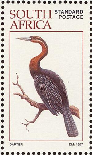 Colnect-1791-727-African-Darter-Anhinga-rufa.jpg