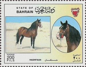 Colnect-1805-977--quot-Hadhfaan-quot--Equus-ferus-caballus.jpg