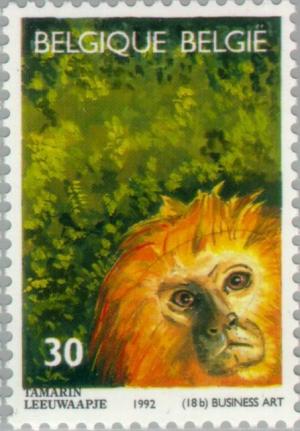 Colnect-186-792-Golden-headed-Lion-Tamarin-Leontideus-chrysomelas.jpg