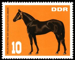 Colnect-1975-058-Stallion-Equus-ferus-caballus.jpg