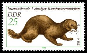 Colnect-1981-825-European-Mink-Mustela-lutreola.jpg