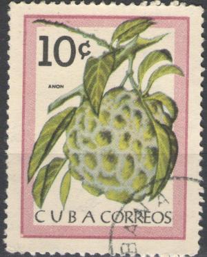 Colnect-2112-379-Anon-Annona-reticulata.jpg