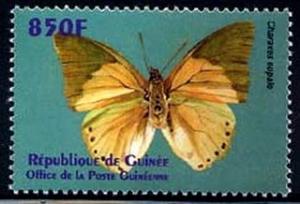 Colnect-2176-069-Common-Green-Charaxes-Charaxes-eupale.jpg