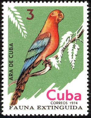 Colnect-2307-531-Cuban-Macaw-Ara-tricolor.jpg