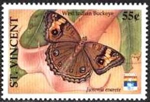 Colnect-2549-209-West-Indian-Buckeye-Junonia-evarete.jpg