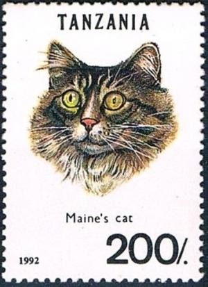 Colnect-2658-615-Maine-Coon-Felis-silvestris-catus.jpg