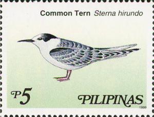 Colnect-2859-097-Common-Tern-Sterna-hirundo.jpg