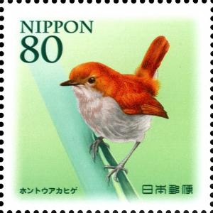 Colnect-3048-707-Ryukyu-Robin-Luscinia-komadori-namiyei.jpg