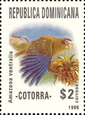 Colnect-3152-318-Hispaniolan-Amazon-Amazona-ventralis.jpg