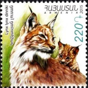 Colnect-3191-886-Caucasian-Lynx-Lynx-lynx-dinniki.jpg