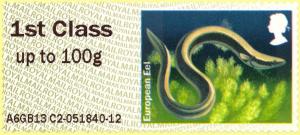 Colnect-3192-790-European-Eel-Anguilla-anguilla.jpg