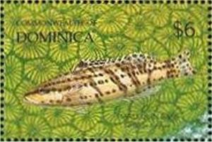 Colnect-3194-708-Harlequin-Bass-Serranus-tigrinus.jpg