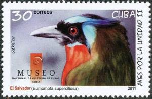 Colnect-3661-839-Amazonian-Motmot%C2%A0Momotus-momota.jpg