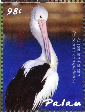 Colnect-3669-246-Australian-Pelican%C2%A0%C2%A0%C2%A0%C2%A0Pelecanus-conspicillatus.jpg