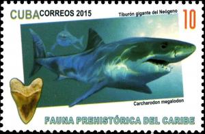 Colnect-4108-166-Megalodon-Carcharocles-megalodon.jpg