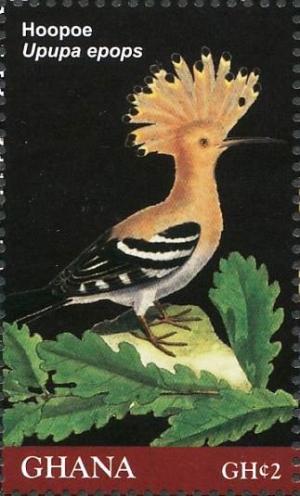 Colnect-4241-276-Eurasian-Hoopoe----Upupa-epops.jpg