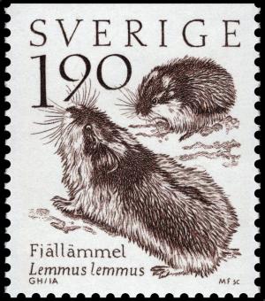 Colnect-4388-928-Norwegian-Lemming-Lemmus-lemmus.jpg