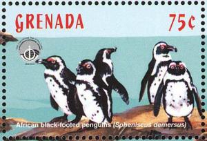 Colnect-4581-506-African-blackfooted-penguins.jpg