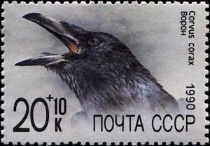 Colnect-4883-650-Common-Raven-Corvus-corax.jpg