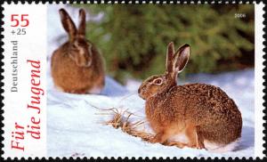 Colnect-5199-403-European-Hare-Lepus-europaeus.jpg