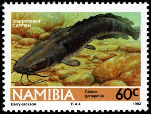 Colnect-5214-374-North-African-Catfish-Clarias-gariepinus.jpg