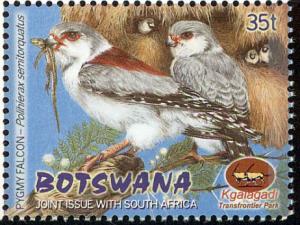 Colnect-5304-187-Pygmy-Falcon-Polihierax-semitorquatus.jpg