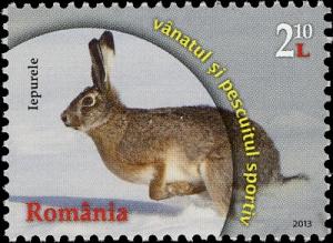 Colnect-5518-717-European-Hare-Lepus-europaeus.jpg