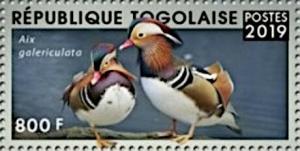 Colnect-5646-475-Mandarin-Duck-Aix-galericulata.jpg