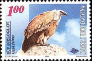 Colnect-565-839-Griffon-Vulture-Gyps-fulvus.jpg