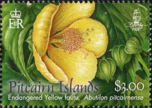 Colnect-5888-253-Yellow-fautu-abutilon-pitcairnense-flower-and-three-buds.jpg