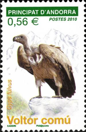 Colnect-627-972-Griffon-Vulture-Gyps-fulvus.jpg