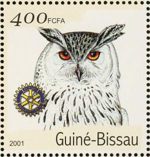 Colnect-975-476-Eurasian-Eagle-Owl-Bubo-bubo.jpg